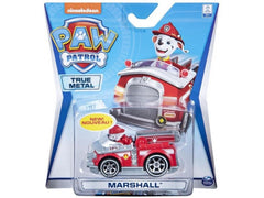 Paw Patrol Die-Cast Aqua 1:55 Vhcl Asst.(Assorted - Includes 1)-ACTION FIGURES & PLAYSETS-Paw Patrol-778988489451