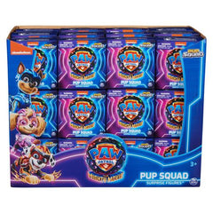 Paw Patrol Movie2 Pup Squad Figs Asst.-Paw Patrol-778988600412