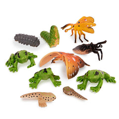 10 Pcs Metamorphosis Animals 4-8 Cm-Animal Figures-Terra-62243499485