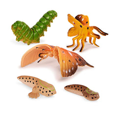 10 Pcs Metamorphosis Animals 4-8 Cm-Animal Figures-Terra-62243499485