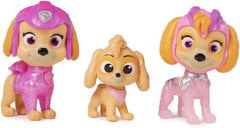 Paw Patrol Movie2 Figure Pack Skye-Paw Patrol-778988497524