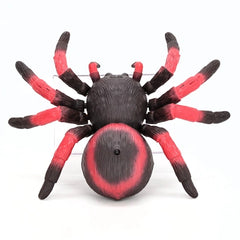 Rc Spider (Red)-Cars & Vehicles-Terra-62243426481