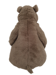 DISNEY PLUSH ANIMAL CORE BALOO M2 14 Default Title