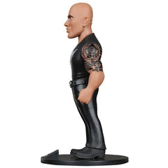 WWE The Rock