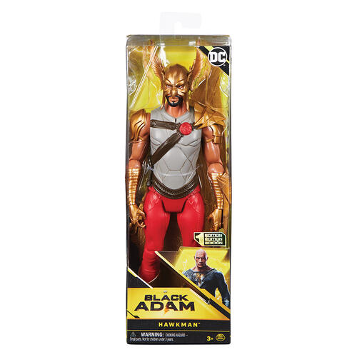 Dc Black Adam Movie Fig 12" Asst.(Assorted - Includes 1)-ACTION FIGURES & PLAYSETS-DC Black Adam-778988344002