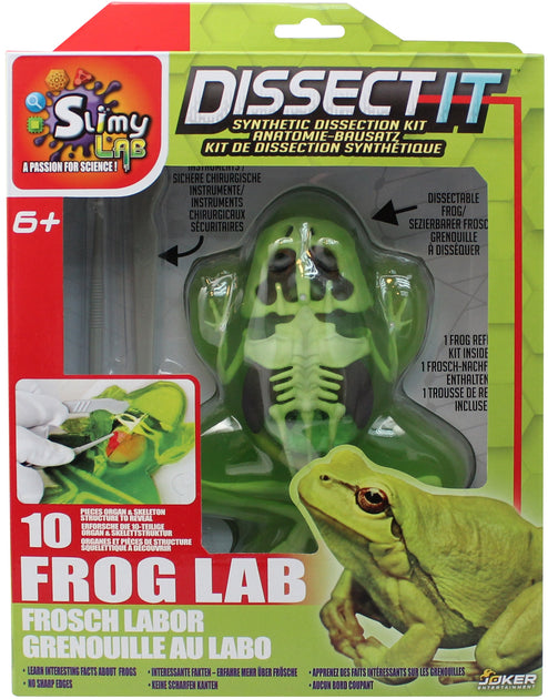 SLIMY DISSECT IT IN GIFTBOX - FROG