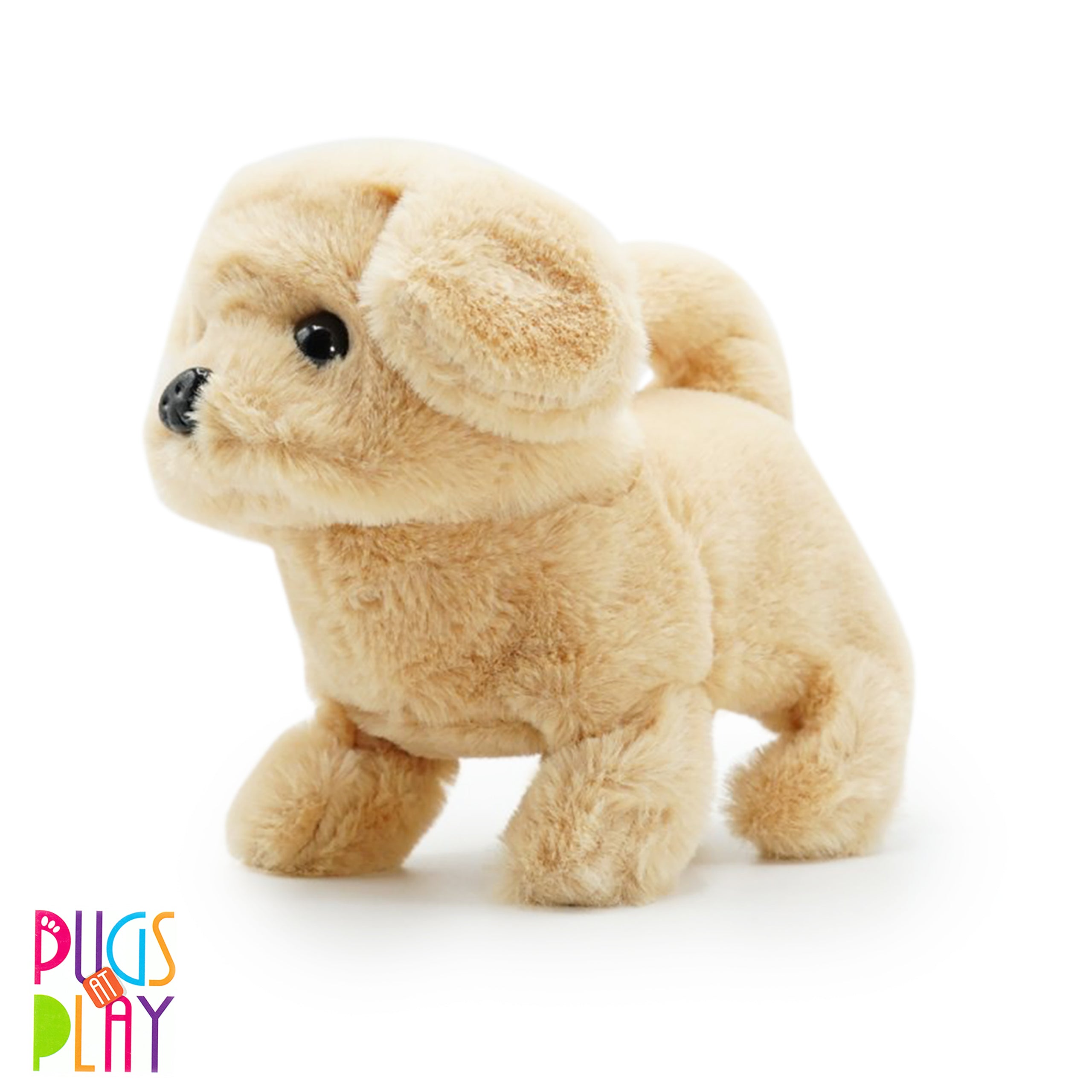 PUGS AT PLAY WALKING GOLDIE 6.5 B/O
