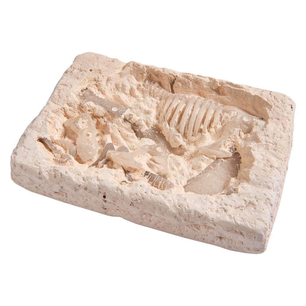 Gid T-Rex Excavation Kit-Simba-4006592064068