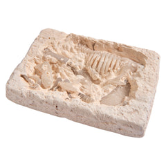 Gid T-Rex Excavation Kit-Simba-4006592064068