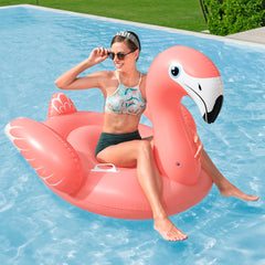 Bestway Rider Flamenco 168X120-ACCESSORIES & TUBS-Bestway-