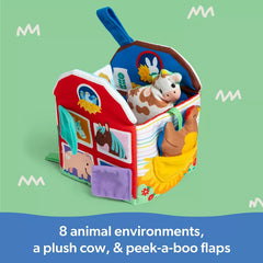 Ms. Rachel Sensory Learning Farm-Ms.Rachel-681147055032