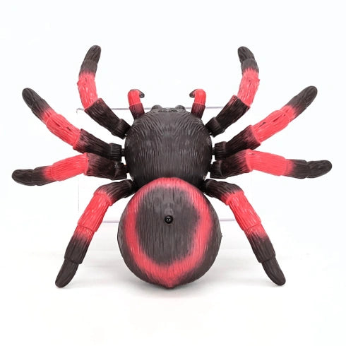Rc Spider (Red)-Cars & Vehicles-Terra-62243426481