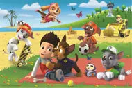 Puzzles - "24 Maxi" - Fun on the blanket / Viacom PAW Patrol