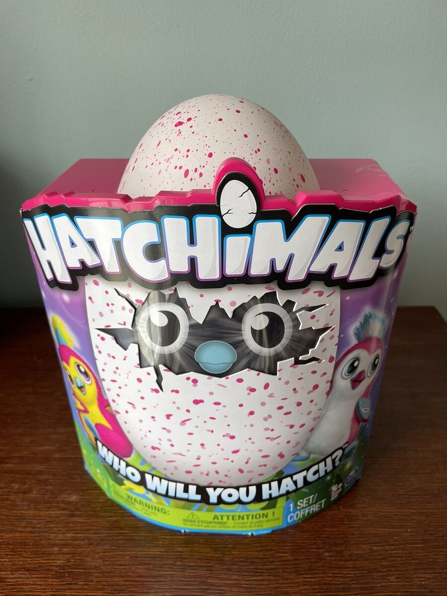 Hatchimals Alive Secret Draggle Asst. 2-Hatchimals-681147058804