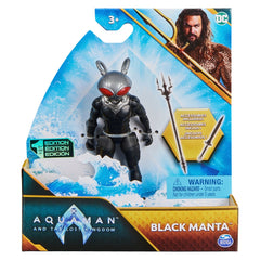 Dc Aquaman Movie Fig 4" Asst.(Assorted - Includes 1)-ACTION FIGURES & PLAYSETS-DC Aquaman-778988348734