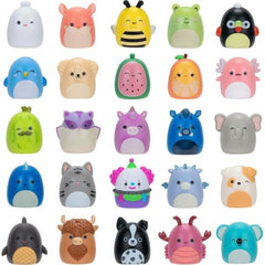 Sqal Squish-A-Longs 25 Pack Asst