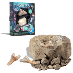 Discovery Toy Excavation Kit Mini Shark Tooth 2Pc-Discovery