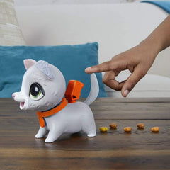 Hasbro Furreal Poopalots Lil Wags Ast - Cat-FURREAL